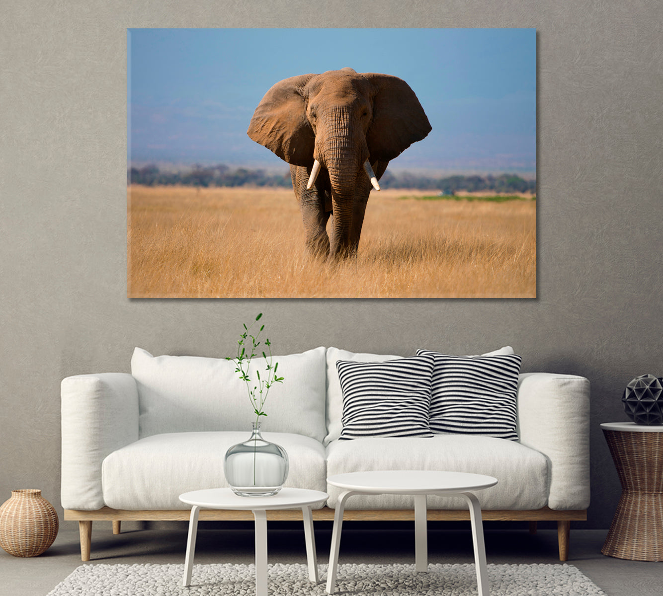African Elephant in Amboseli Park Kenya Canvas Print-Canvas Print-CetArt-1 Panel-24x16 inches-CetArt