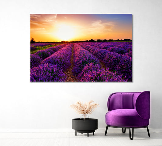 Lavender Field at Sunset Provence France Canvas Print-Canvas Print-CetArt-1 Panel-24x16 inches-CetArt