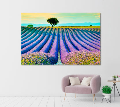 Beautiful Lavender Field at Sunset Provence France Canvas Print-Canvas Print-CetArt-1 Panel-24x16 inches-CetArt