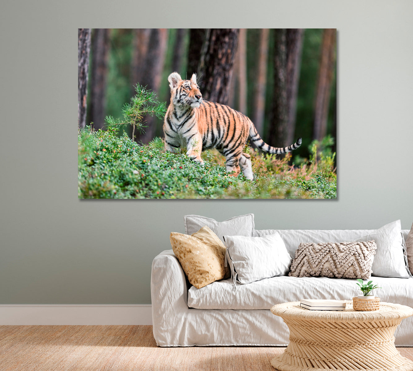 Siberian Tiger in Wildlife Canvas Print-Canvas Print-CetArt-1 Panel-24x16 inches-CetArt