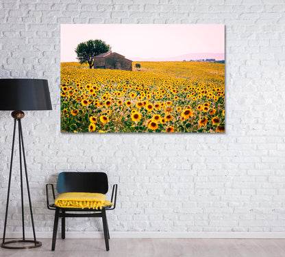 Valensole Plateau with Sunflowers Field Provence France Canvas Print-Canvas Print-CetArt-1 Panel-24x16 inches-CetArt