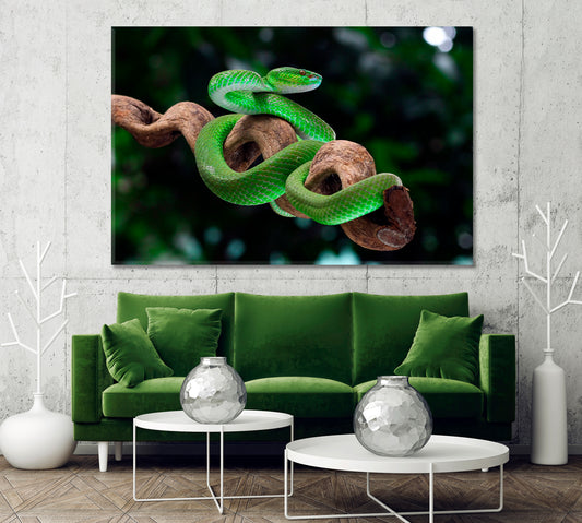 Green Poisonous Snake Canvas Print-Canvas Print-CetArt-1 Panel-24x16 inches-CetArt