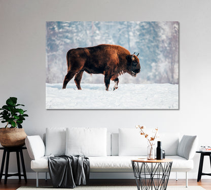 Bison in Winter Canvas Print-Canvas Print-CetArt-1 Panel-24x16 inches-CetArt