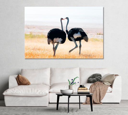 Ostriches Couple in Etosha National Park Namibia Africa Canvas Print-Canvas Print-CetArt-1 Panel-24x16 inches-CetArt