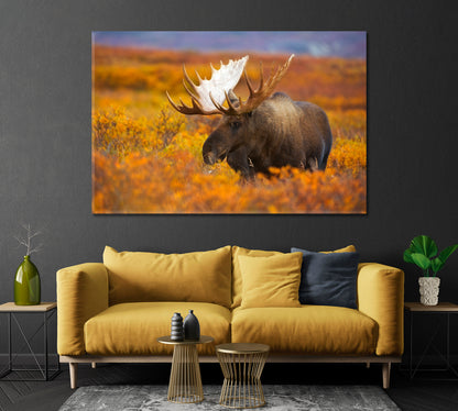 Elk in Autumn Field Canvas Print-Canvas Print-CetArt-1 Panel-24x16 inches-CetArt