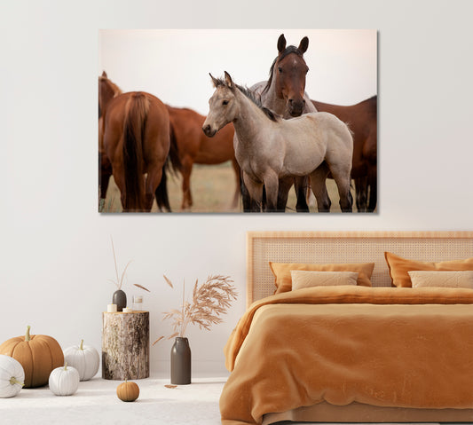 Mustangs in Montana Canvas Print-Canvas Print-CetArt-1 Panel-24x16 inches-CetArt