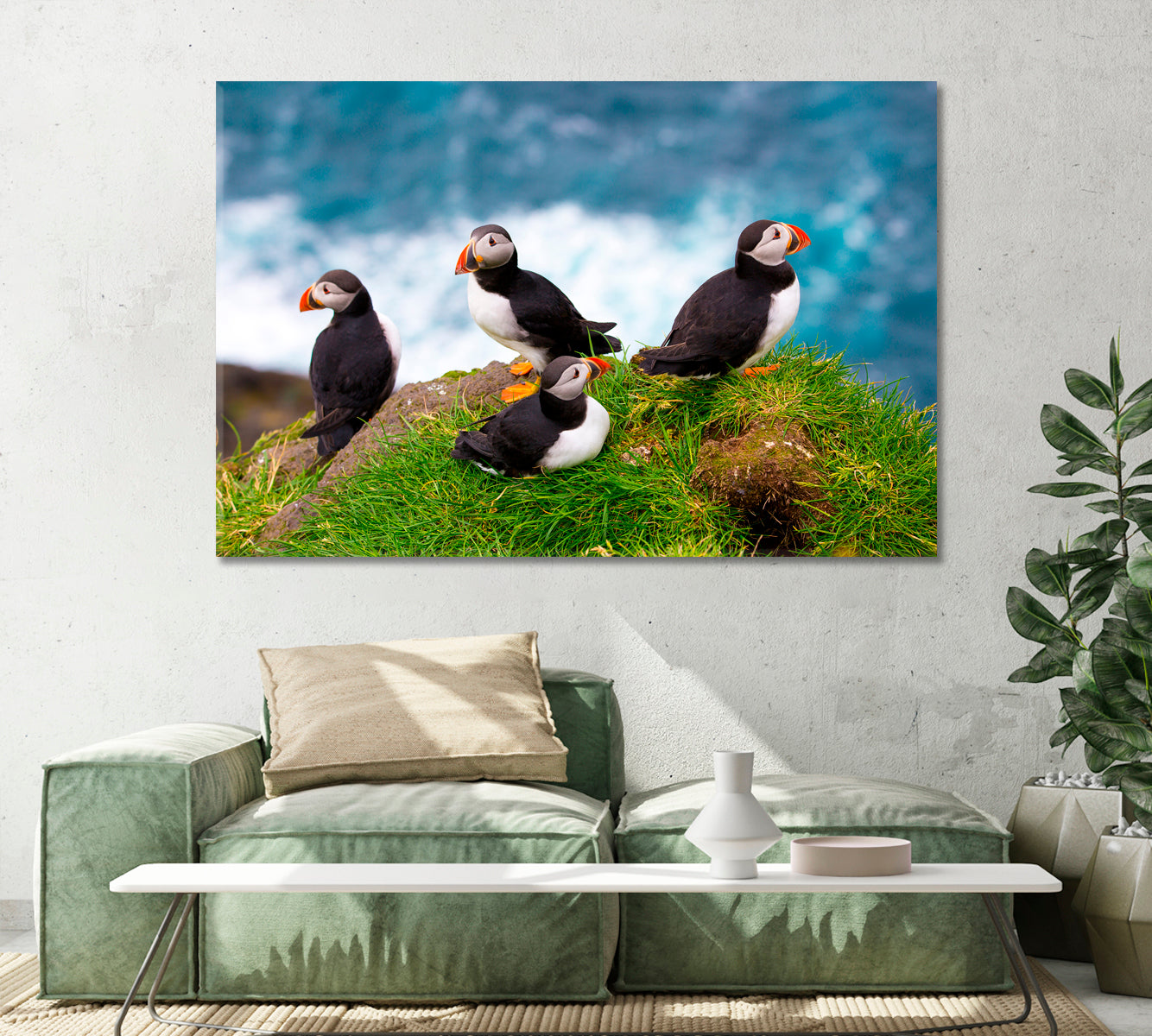 Puffins of Faroe Islands Denmark Canvas Print-Canvas Print-CetArt-1 Panel-24x16 inches-CetArt