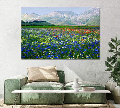 Castelluccio di Norcia Piana Grande Valley Umbria Italy Canvas Print-Canvas Print-CetArt-1 Panel-24x16 inches-CetArt