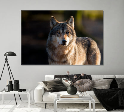 Stately Gray Wolf Canvas Print-Canvas Print-CetArt-1 Panel-24x16 inches-CetArt