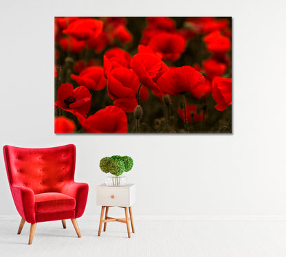 Field of Red Wild Poppies Canvas Print-Canvas Print-CetArt-1 Panel-24x16 inches-CetArt