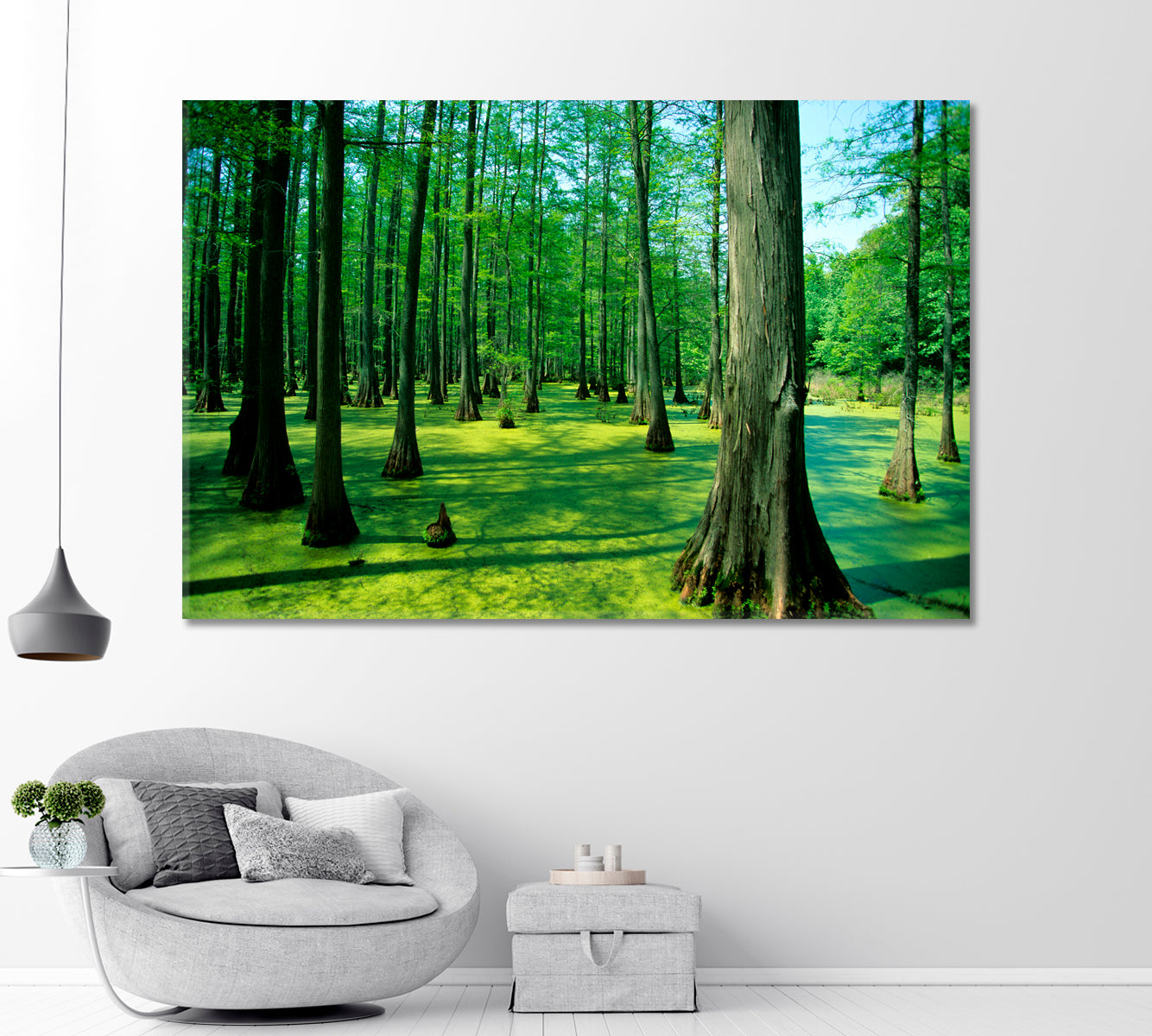 Heron Pond Bald Cypress Trees Illinois Canvas Print-Canvas Print-CetArt-1 Panel-24x16 inches-CetArt