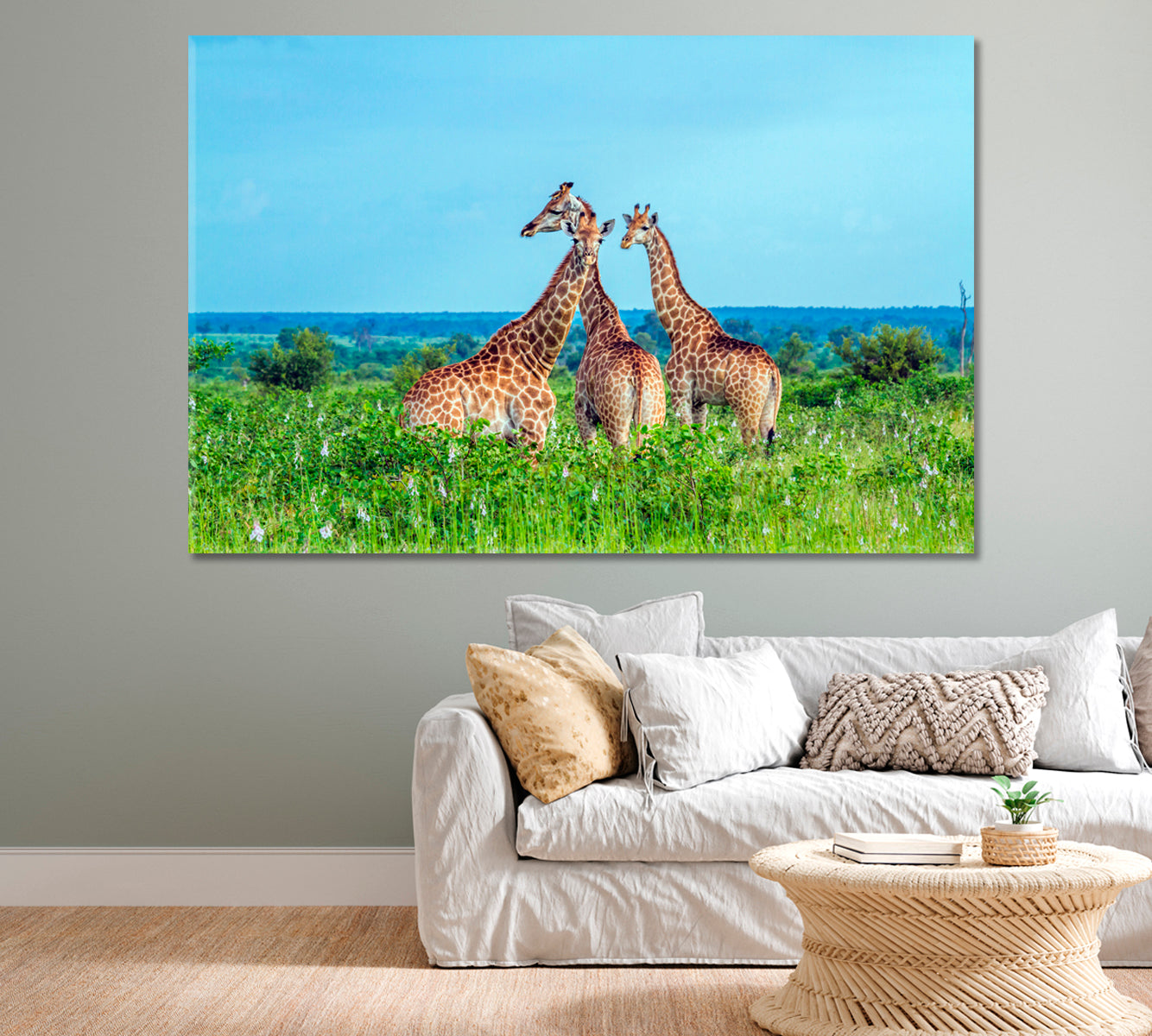Three Giraffes in Kruger National Park Africa Canvas Print-Canvas Print-CetArt-1 Panel-24x16 inches-CetArt