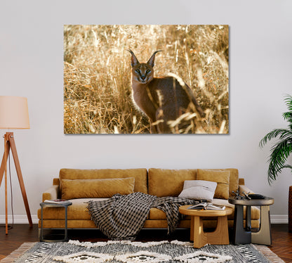 Caracal African Lynx Canvas Print-Canvas Print-CetArt-1 Panel-24x16 inches-CetArt