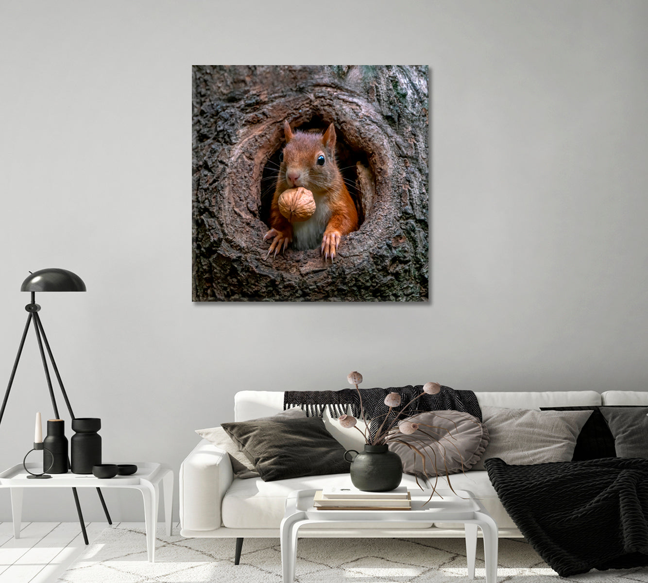 Red Squirrel in Tree Hollow With Walnut Canvas Print-Canvas Print-CetArt-1 panel-12x12 inches-CetArt