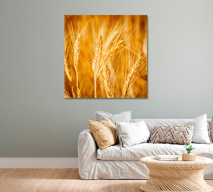 Golden Wheat Field Canvas Print-Canvas Print-CetArt-1 panel-12x12 inches-CetArt