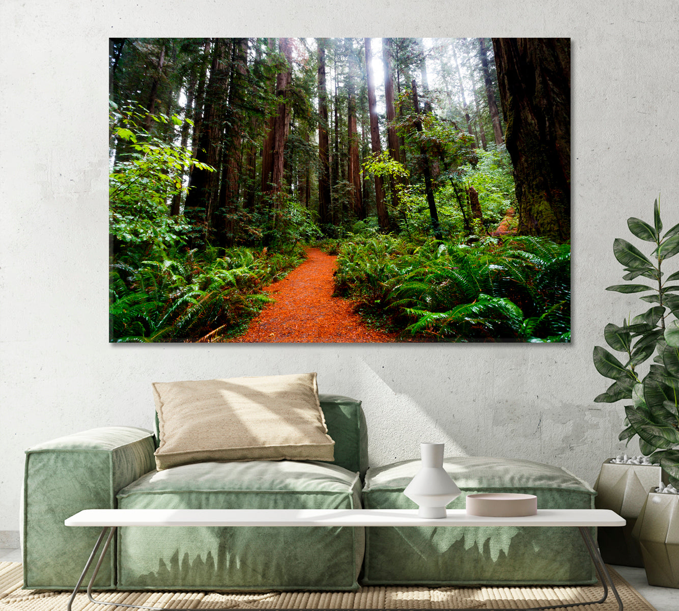 California Redwoods Canvas Print-Canvas Print-CetArt-1 Panel-24x16 inches-CetArt