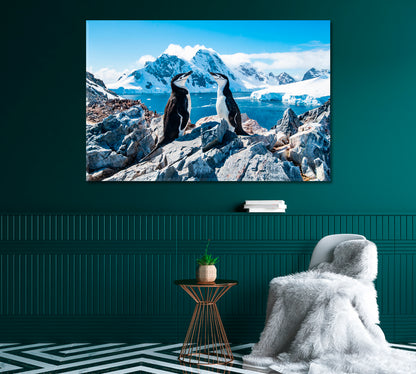 Pair of Chinstrap Penguins Canvas Print-Canvas Print-CetArt-1 Panel-24x16 inches-CetArt