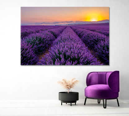 Sunrise in the Lavender Field Canvas Print-Canvas Print-CetArt-1 Panel-24x16 inches-CetArt