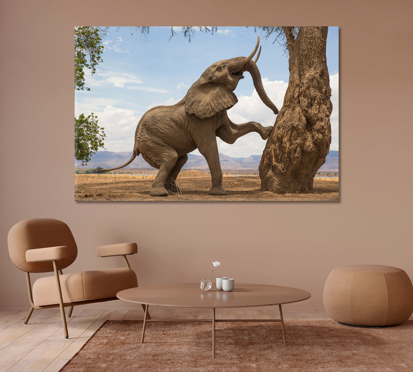 Powerful African Elephant Canvas Print-Canvas Print-CetArt-1 Panel-24x16 inches-CetArt