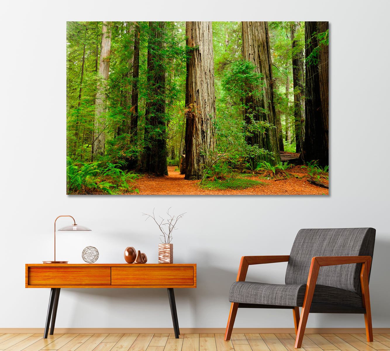 Redwood National Park California USA Canvas Print-Canvas Print-CetArt-1 Panel-24x16 inches-CetArt