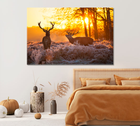 Red Deer in Forest Canvas Print-Canvas Print-CetArt-1 Panel-24x16 inches-CetArt