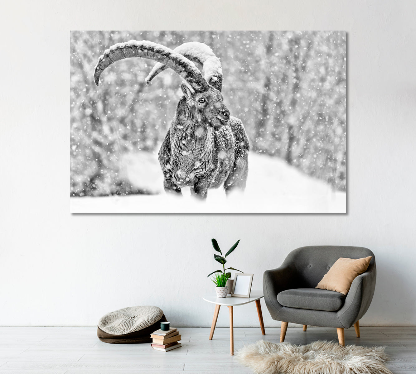 Alpine Mountain Goat under the Snowfall Canvas Print-Canvas Print-CetArt-1 Panel-24x16 inches-CetArt