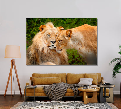 Pair of African Lions Chobe National Park Africa Canvas Print-Canvas Print-CetArt-1 Panel-24x16 inches-CetArt