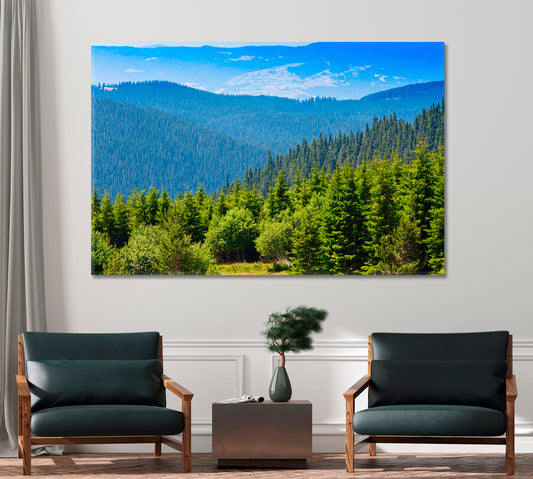 Aerial View of the Pine Forest Canvas Print-Canvas Print-CetArt-1 Panel-24x16 inches-CetArt
