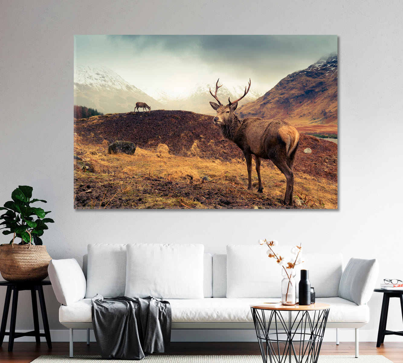 Scottish Mountain Landscape with Deer Canvas Print-Canvas Print-CetArt-1 Panel-24x16 inches-CetArt