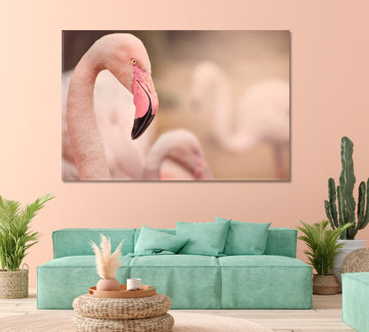 Flamingo Close Up Canvas Print-Canvas Print-CetArt-1 Panel-24x16 inches-CetArt