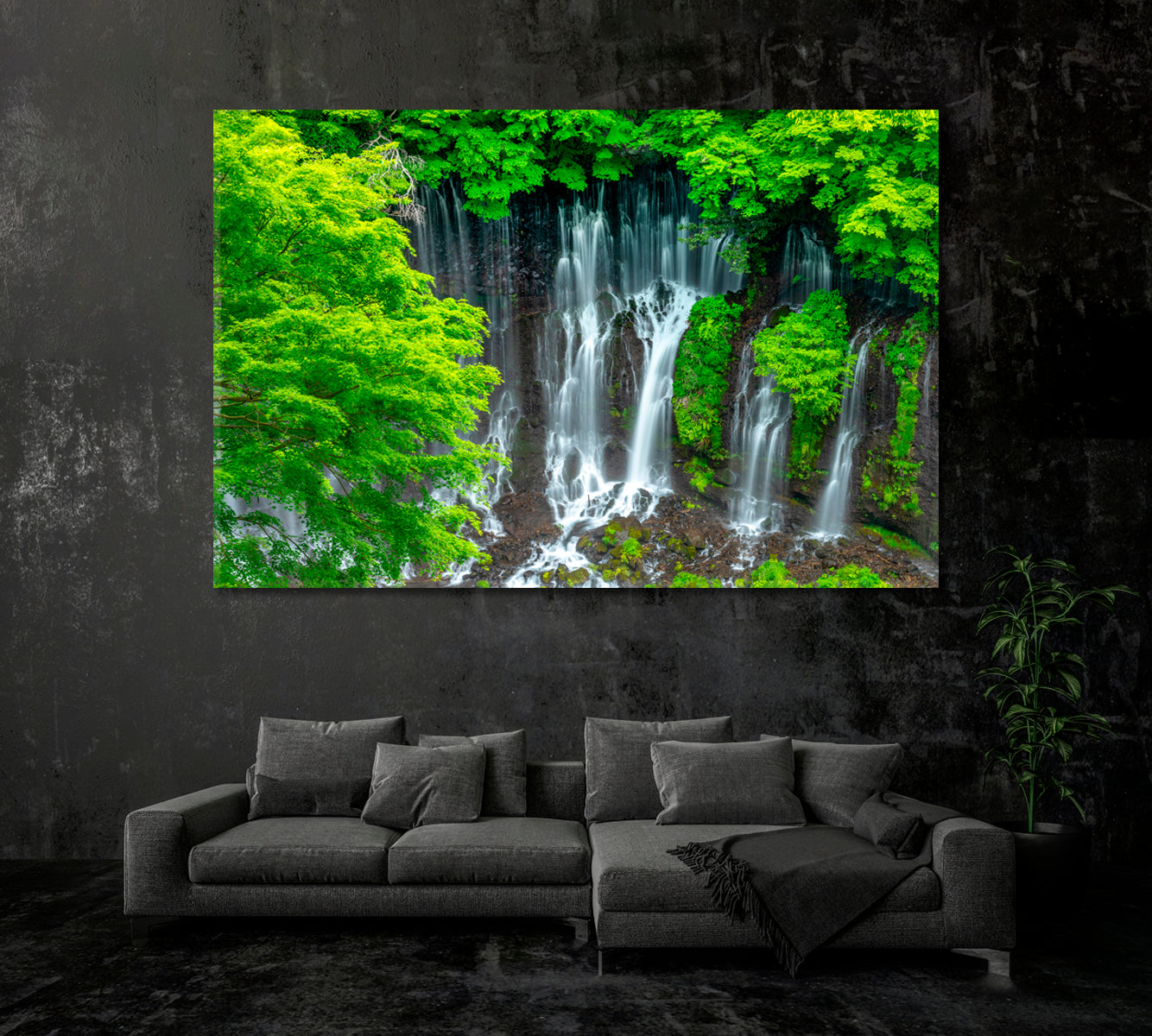 Shiraito Waterfall Japan Canvas Print-Canvas Print-CetArt-1 Panel-24x16 inches-CetArt