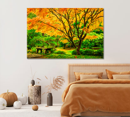 Japanese Maple Tree Washington Park Arboretum Botanical Garden Canvas Print-Canvas Print-CetArt-1 Panel-24x16 inches-CetArt