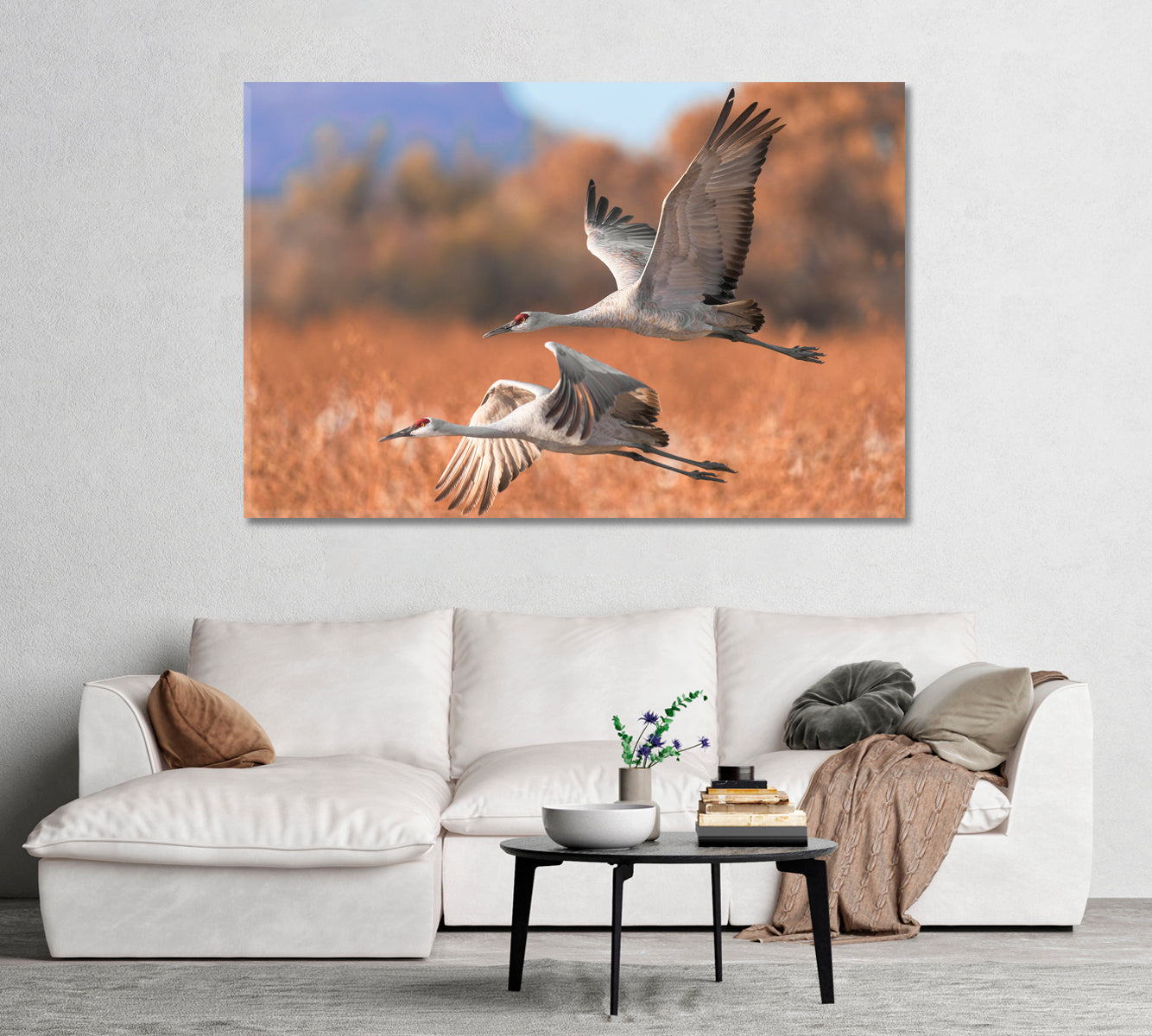 Two Beautiful Sandhill Cranes Canvas Print-Canvas Print-CetArt-1 Panel-24x16 inches-CetArt