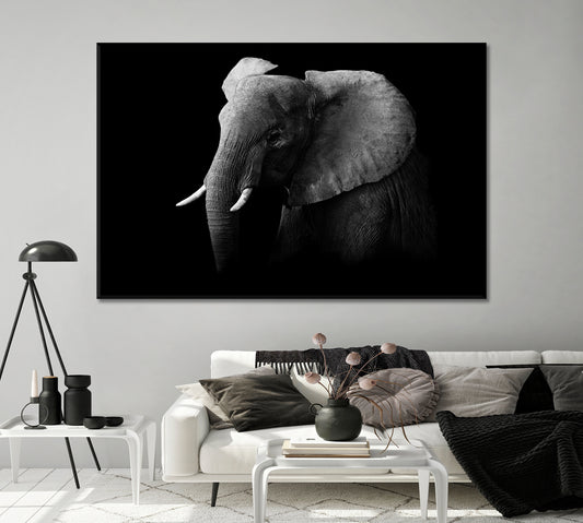 African Elephant in Black and White Canvas Print-Canvas Print-CetArt-1 Panel-24x16 inches-CetArt