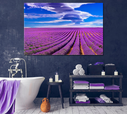 Lavender Field in France Canvas Print-Canvas Print-CetArt-1 Panel-24x16 inches-CetArt