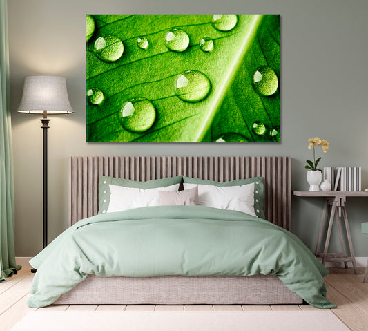 Green Leaf with Water Drops Canvas Print-Canvas Print-CetArt-1 Panel-24x16 inches-CetArt