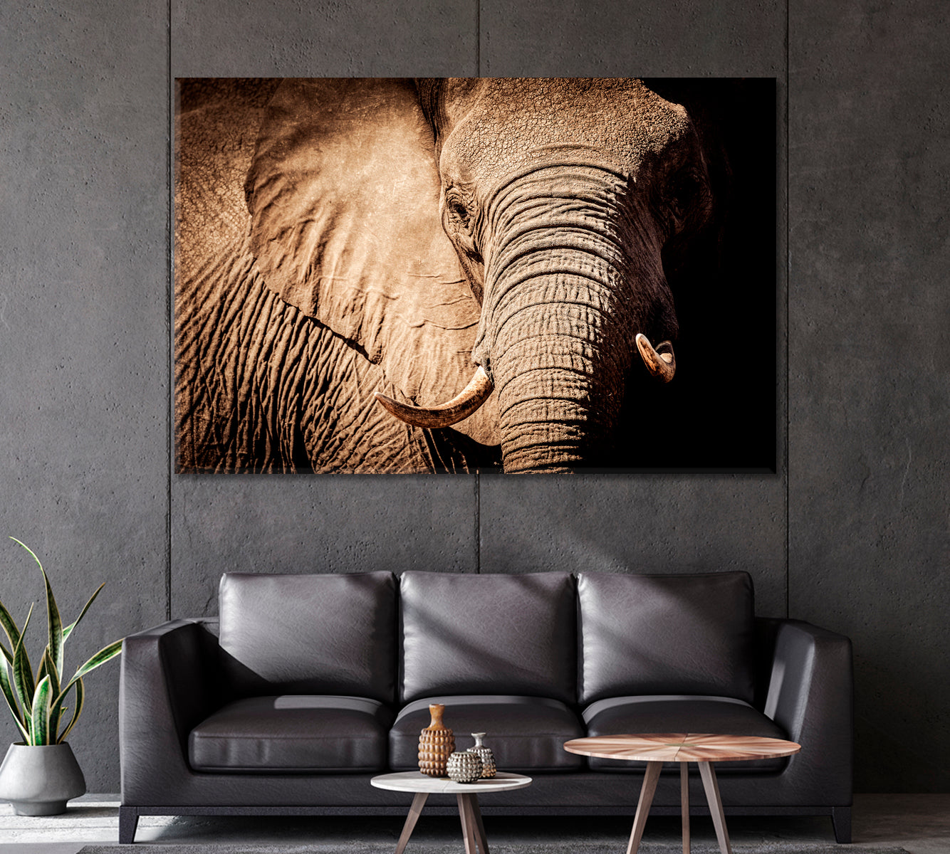 Wild African Elephant Canvas Print-Canvas Print-CetArt-1 Panel-24x16 inches-CetArt