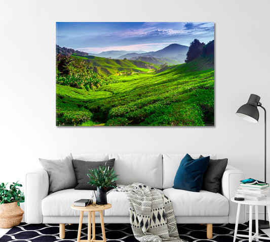 Tea Plantation in Cameron Highlands Malaysia Canvas Print-Canvas Print-CetArt-1 Panel-24x16 inches-CetArt