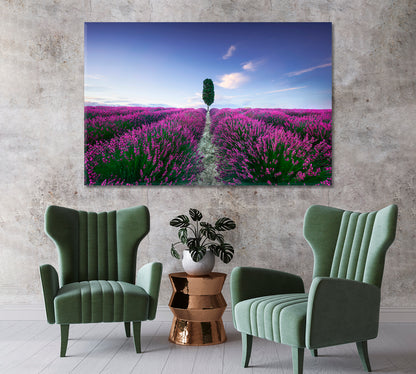 Lavender Fields at Sunset Italy Canvas Print-Canvas Print-CetArt-1 Panel-24x16 inches-CetArt