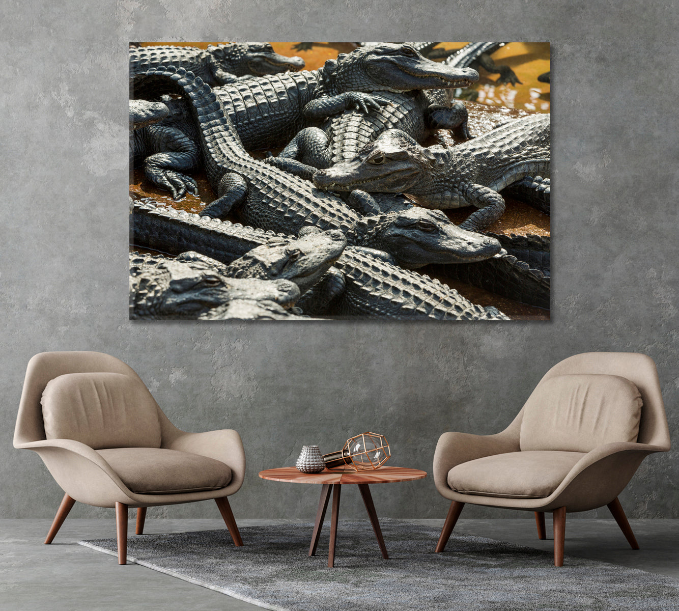 Alligators Canvas Print-Canvas Print-CetArt-1 Panel-24x16 inches-CetArt