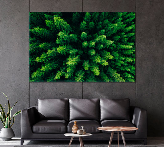 Spruce and Pine Trees Forest Finland Canvas Print-Canvas Print-CetArt-1 Panel-24x16 inches-CetArt