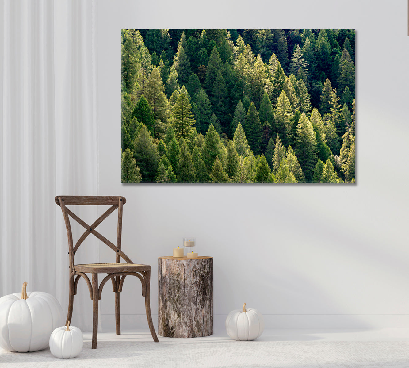 Amazing Dense Forest Canvas Print-Canvas Print-CetArt-1 Panel-24x16 inches-CetArt