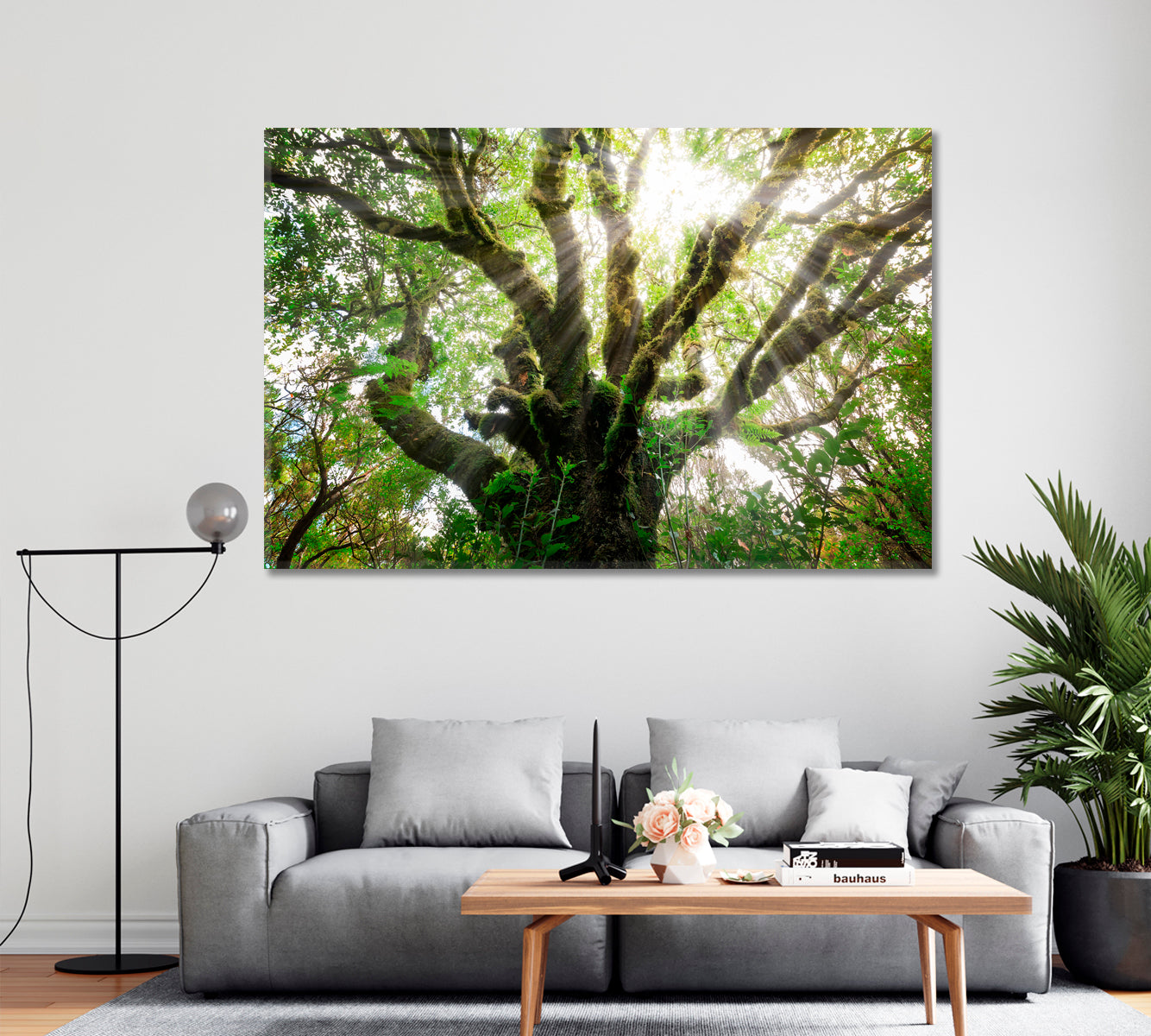 Laurissilva Forest Laurel Forest Madeira Canvas Print-Canvas Print-CetArt-1 Panel-24x16 inches-CetArt