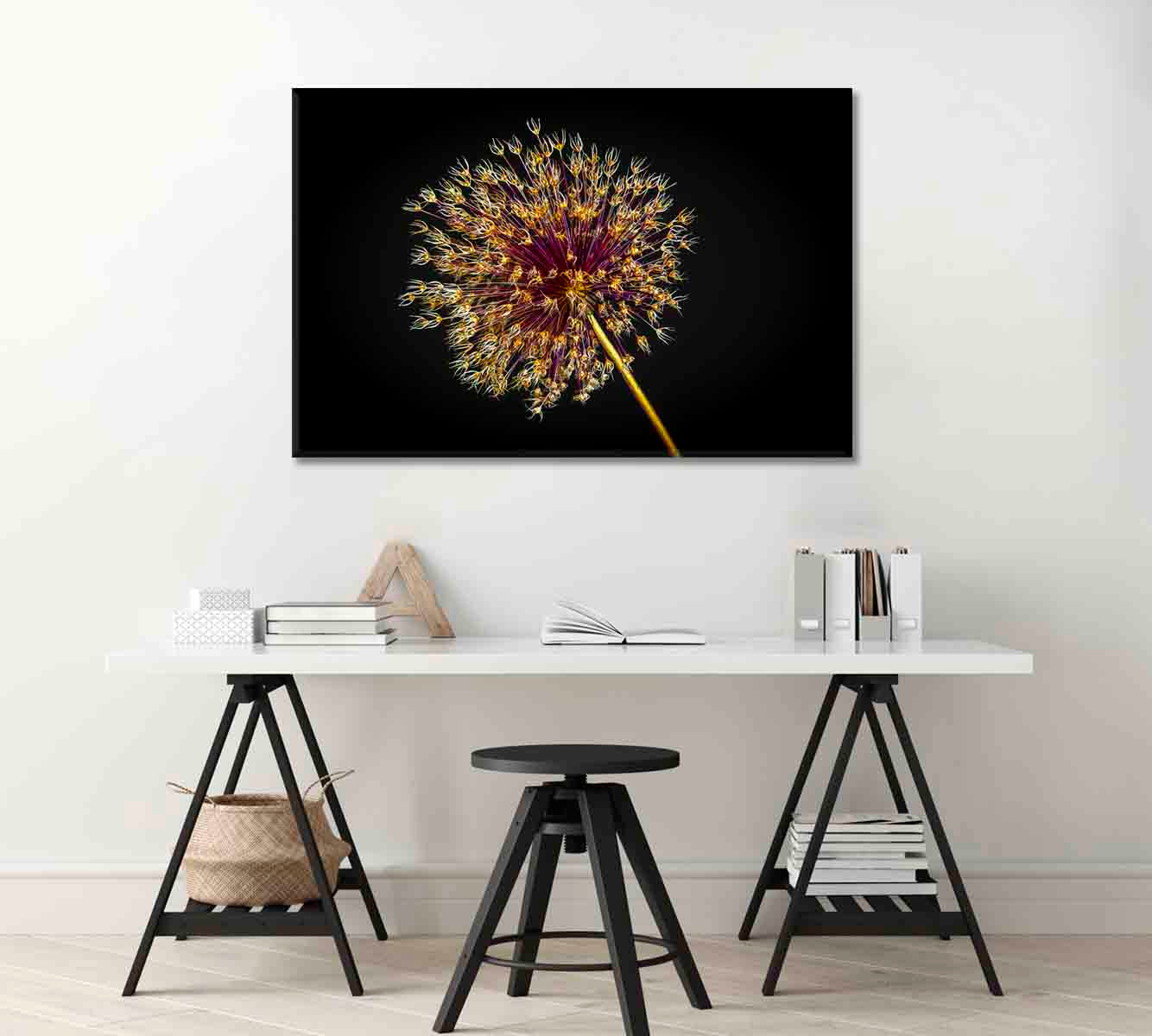 Dried Allium Flower Canvas Print-Canvas Print-CetArt-1 Panel-24x16 inches-CetArt