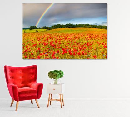 Rainbow over Poppy Field Canvas Print-Canvas Print-CetArt-1 Panel-24x16 inches-CetArt