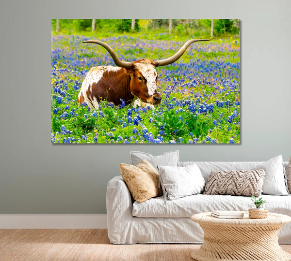 Texas Longhorn Cow in Bluebonnet Field — modern rustic color accent