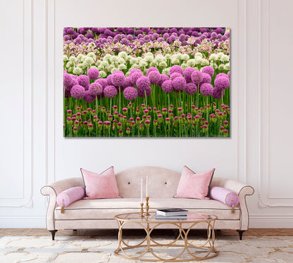 Blooming Purple and White Allium Canvas Print-Canvas Print-CetArt-1 Panel-24x16 inches-CetArt