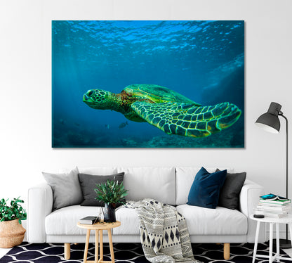 Green Sea Turtle Swimming Among Coral Reefs Canvas Print-Canvas Print-CetArt-1 Panel-24x16 inches-CetArt