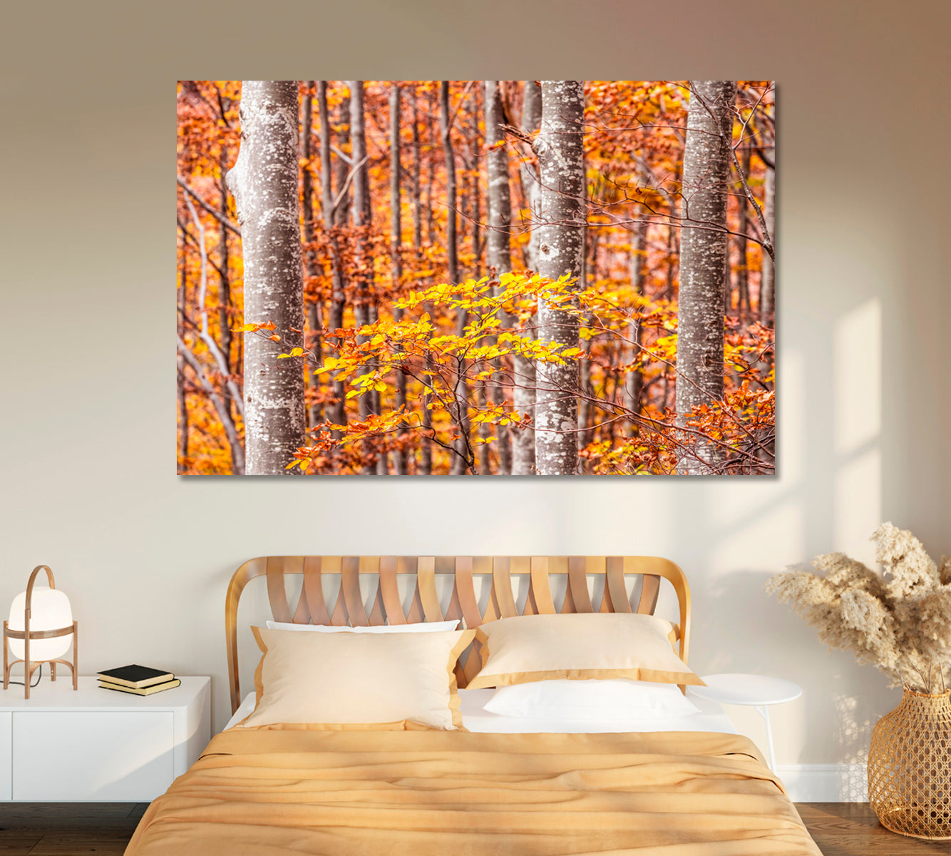 Autumn Beech Trees Forest Bologna Italy Canvas Print-Canvas Print-CetArt-1 Panel-24x16 inches-CetArt