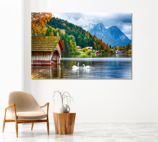Two White Swans on Lake Grundlsee Switzerland Canvas Print-Canvas Print-CetArt-1 Panel-24x16 inches-CetArt
